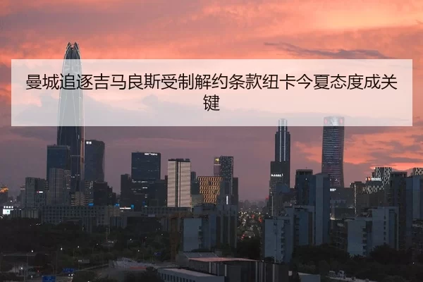 曼城追逐吉马良斯受制解约条款纽卡今夏态度成关键