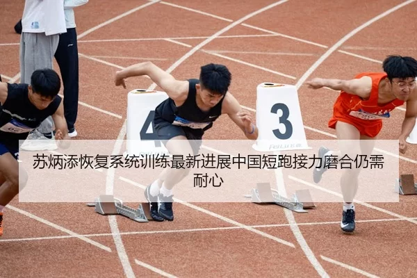 苏炳添恢复系统训练最新进展中国短跑接力磨合仍需耐心